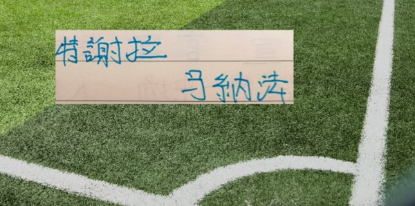 OB电竞-申花从负10到正1 只要5轮 特谢拉跟马纳法再踢下去 可能会再续